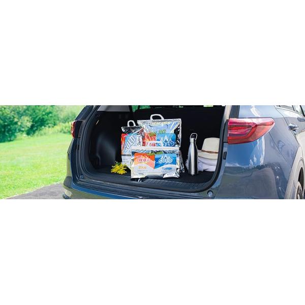 Hot And Cold Insulated Bags For Food Delivery, Grocery Shopping Bags, Food Storage For Hot Frozen Food For Travel