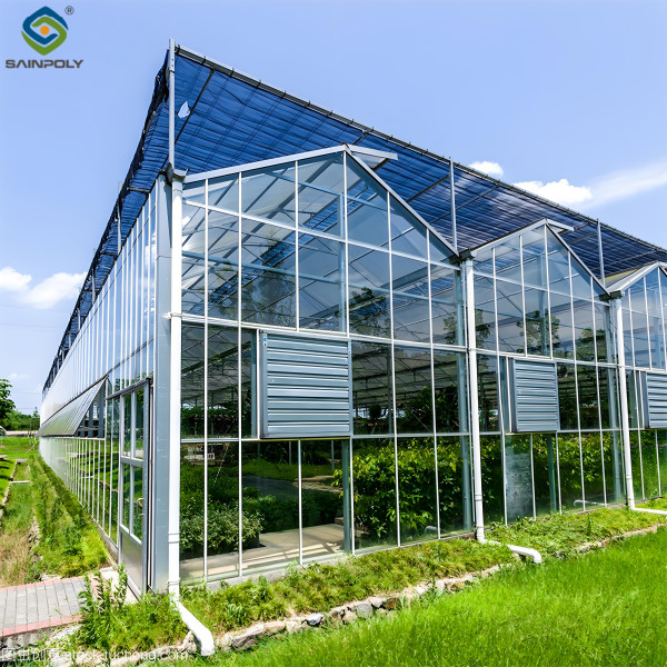 Intelligent Venlo Glass Greenhouse For Tomato Strawberry Growing Turnkey Project