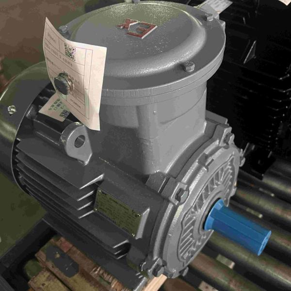 Tension efficace élevée réglable de moteur électrique de la vitesse 50HZ basse