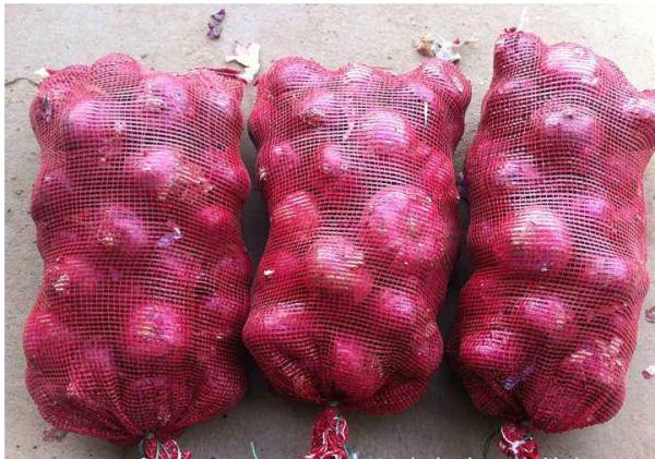 7cm Oval Rich Prostaglandin A Natural Fresh Onion