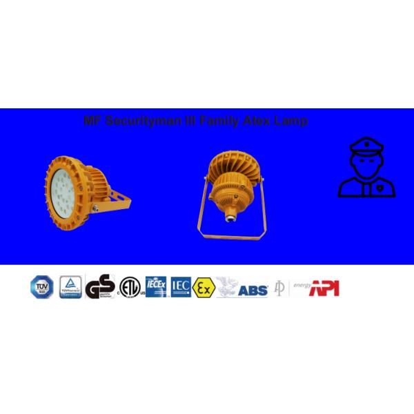 Atex Industrial Workshop 60W/80W IP66 Special Chemical Plant Lighting Waterproof LED Explosion Proof Light