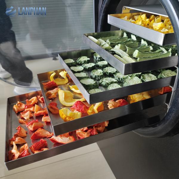 4-6Kg Household Vacuum Freeze Dryer Machines for Food Vegetable Fruit Milk