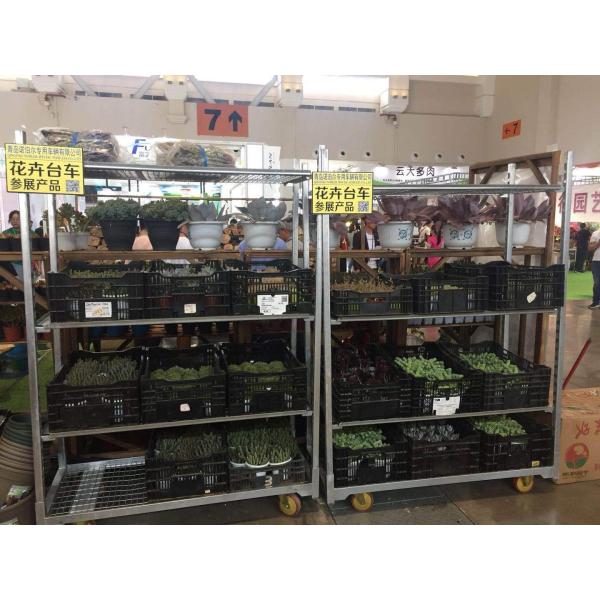 Цветка снабжения вагонетки колеса складчатости 4 переклейки вагонетка оборачиваемости датского быстрая