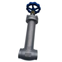 A haste longa SS304 316 CF8 CF8M Or Other Material personaliza a válvula de globo criogênica
