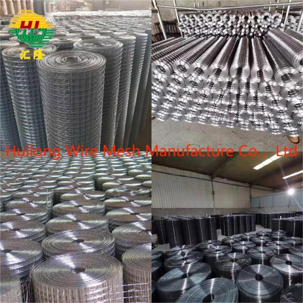 конструкция 50X50mm гальванизированная сеткой сварила ячеистую сеть Rolls 19Gauge