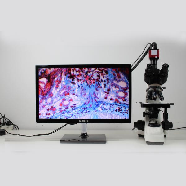 Factory price Economical 40x-1600x binocular biological microscope Microscope
