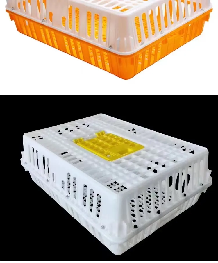 Broiler Chicken Transport Boxes High Ventilation Chicken Carrier Crate For Secure Shipping