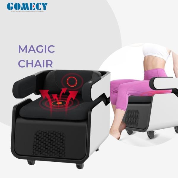 Gomecy Dual-Purpose EMS Pelvic Chair: for Postpartum Women (Pelvic Floor Training) & Men (Prostate Massage)