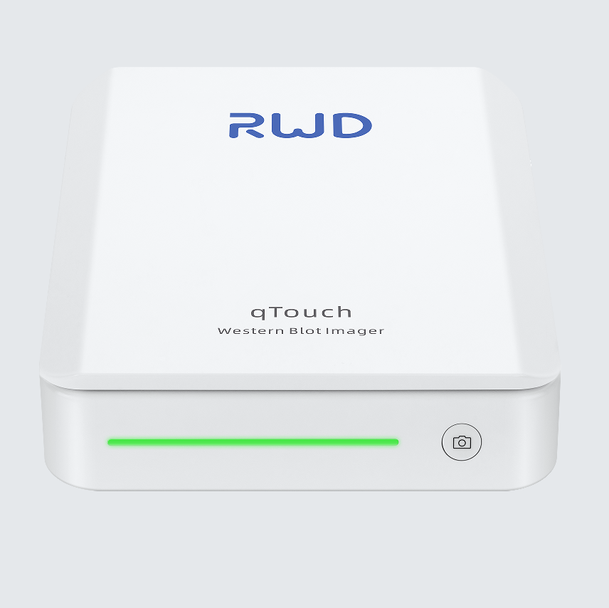 Touch Western Blot imager