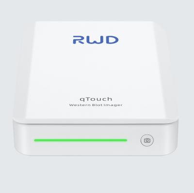 Touch Western Blot imager