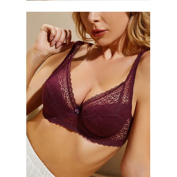 Wholesale Women Bra Lace Decoration Sexy Bras Adjustable Straps High Quality for Female C/D Cup Bras