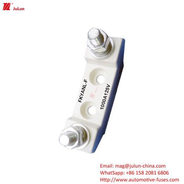 UL Standard Bipolar Automotive Spare Parts Plastic Housing Fuse / Fuse Holder Rated Voltage 125V