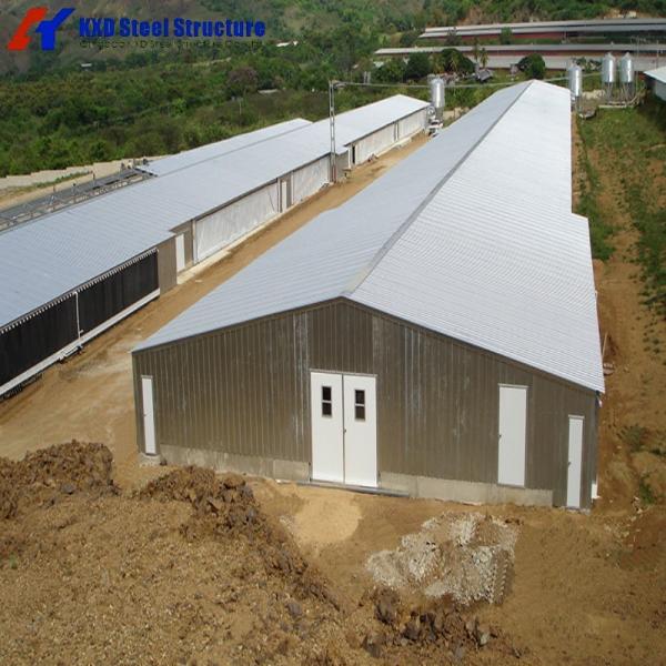 Granja avícola Granja de pollos Granja de ganado Casa para 10.000 pollos Diseño de luz con soldadura Servicios de corte y flexión