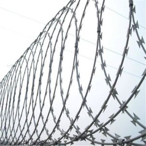 Hot Dip Galvanized Low Carbon Steel Wire Barbed Razor Wire for Protective Construction