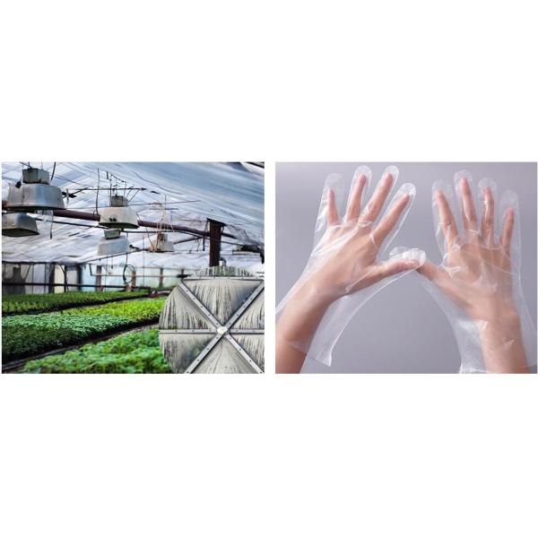 Эн13432 аттестовало напечатанную таможней оптовую биодеградабле компостабле пластиковую сумку фармации с ручкой синглета