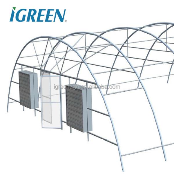 5m Roof Height Single Span Greenhouse Smart Chinese Style Greenhouse