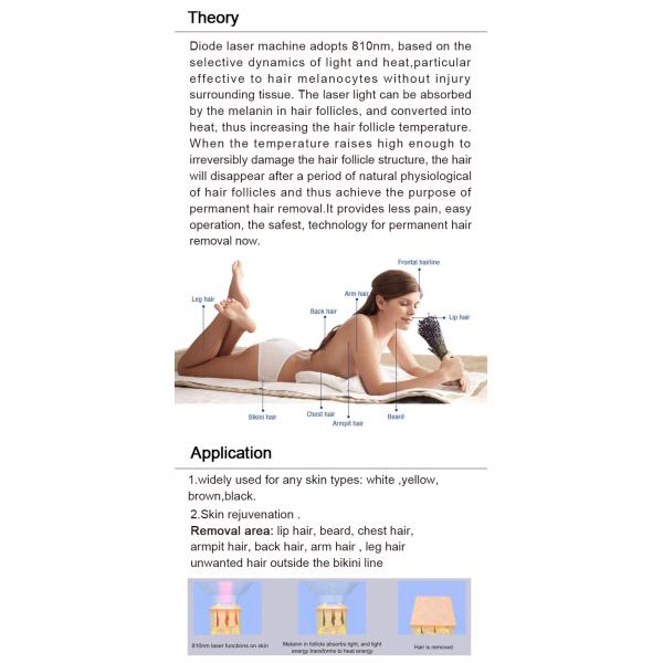 Pianless 808nm diode laser permanent hair removal 2000W power laser hair removal machine LF-648