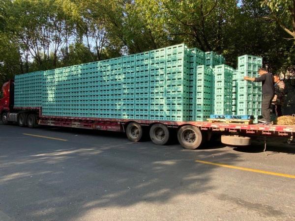 24 Bottle, Customized Mesh Plastic Package Crate Glass Wine Juice Bottle Crate With Gard Storage Transport Boxes 24 Glass Beer Crate