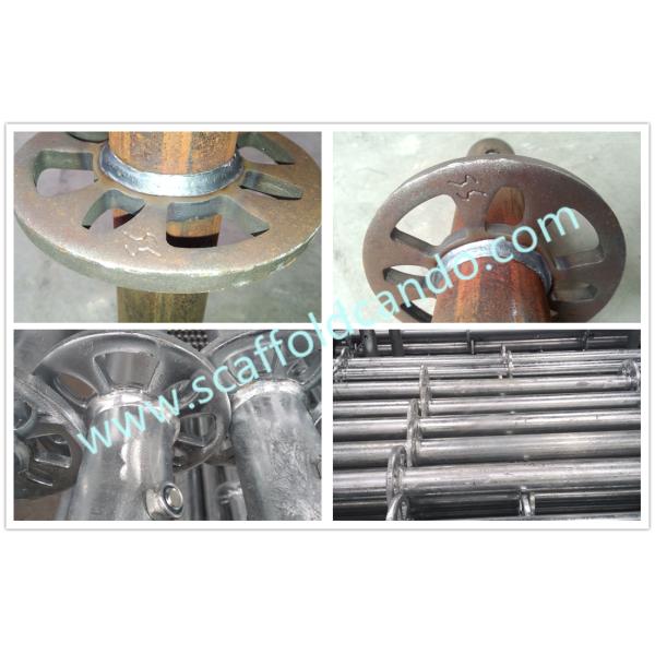 Good quality scaffolding Ringlock standard vertical 48mmOD 500mm 1500mm 2000mm 3000mmL Hot dip galvanized Q235 Q345