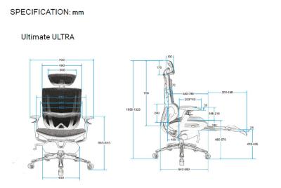 PA GF Ergonomic Recliner Chair Racing Style Ergonomic Gaming Chair With Lumbar Support