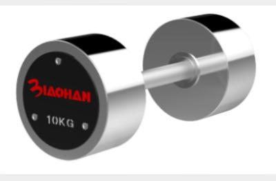 Custom RAPID Stainless Steel Dumbbells Logo Available For Gym Fitness