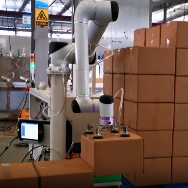 China Huayan S20 Automated Collaborative Robotic Arm Food Factory Palletizing Handling Robot Cobot
