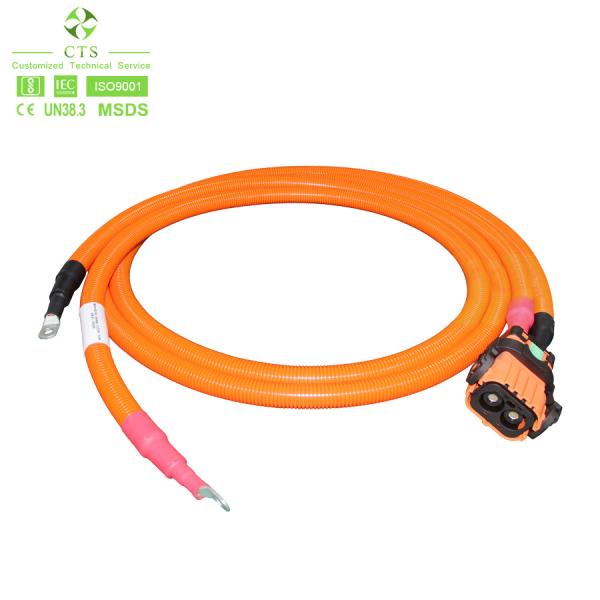 CTS Industrial Electric Vehicle Motorcycle Cable Assembly Car Wiring Harness