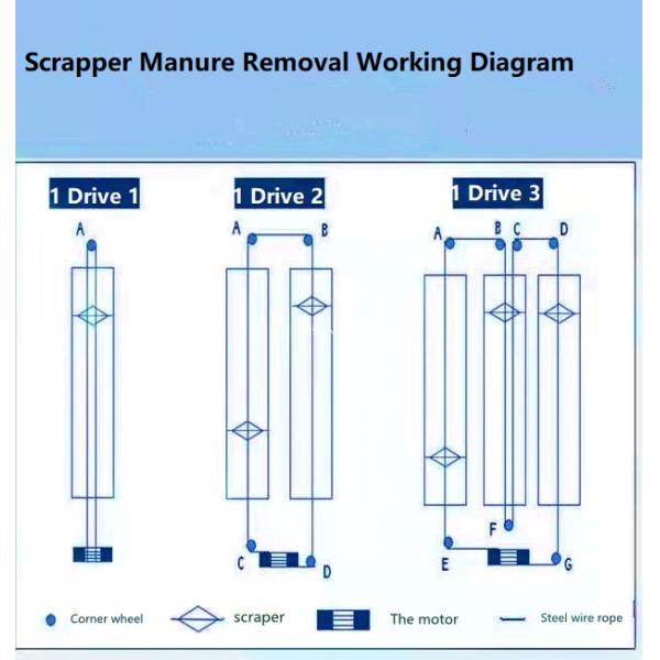 Машина птицефермы Zn-Al очищая, оборудование птицы 380V 3Phase коммерчески