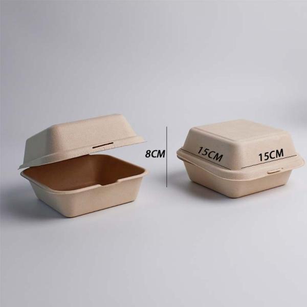 Customized Sugarcane Bagasse Pulp Clamshell for Your Business Needs