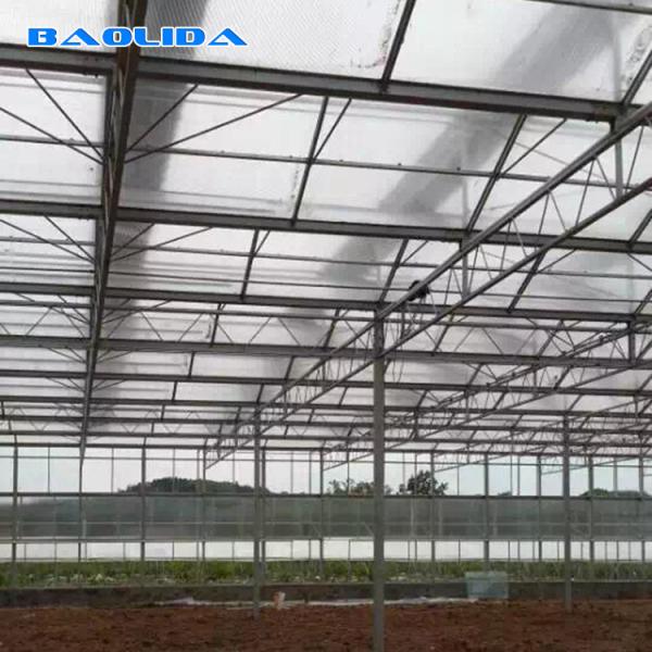 Multi estufa do filme plástico do quadro do período para o animal agrícola vegetal