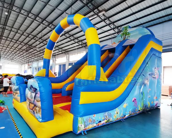 ROHS Commercial Inflatable Slide Children Bounce House In Backyard