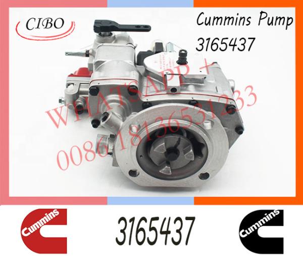 Diesel NT855-C280 Engine Parts For Truck Car PT Pump 3165437 3165468 3165621 3165655