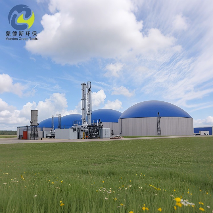 Biogas Storage Tank