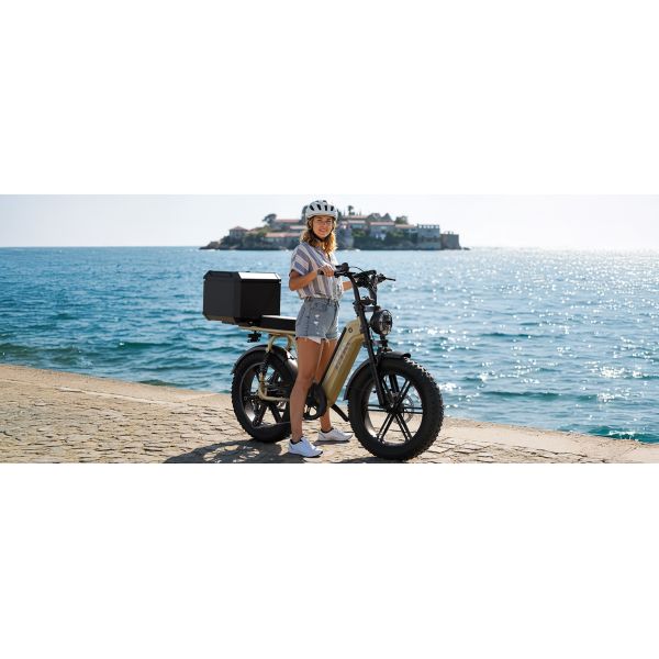 R7 Electric Multi-Purpose E-Bike Brushless Steel Frame Dual Suspension Disc Brake Rear Hub Motor 15AH Electric Utility Bike