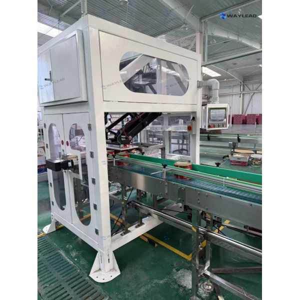 Stable Two-Axis Robot Case Packer for Food & Beverage Industry