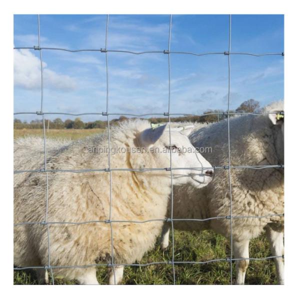 8ft Galvanized Grassland Wire Mesh Fiexed Knot Fence for Cattle and Sheep Farming Needs