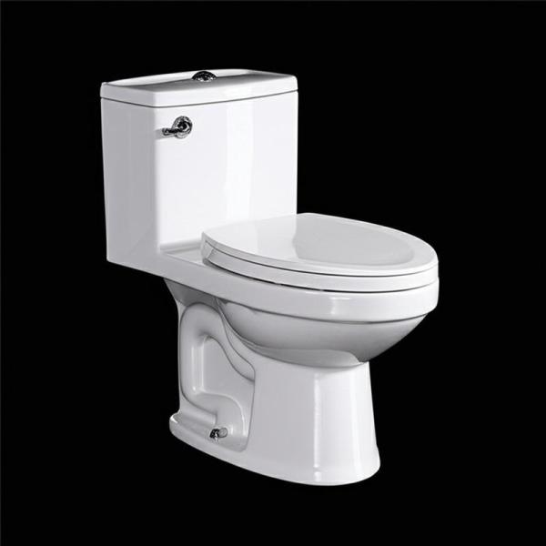 Chine Fabricant Salle de bains Sanitaires Blanc Glacé Siphonic Washdown Toilette en une pièce