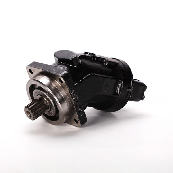 A2fo Hydraulic Motor for A2fo12 A2fo16 A2fo23 A2fo32 A2fo56 A2fo63 A2fo80 A2fo107 A2fo125 A2fo160 A2fo200