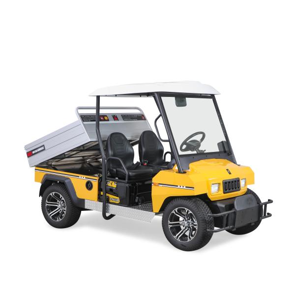 Excar Новый Дизайн Модель Электрический Мини Бугги Автомобиль Улитетный инструмент Автомобиль Домашнее хозяйство Автомобиль для продажи