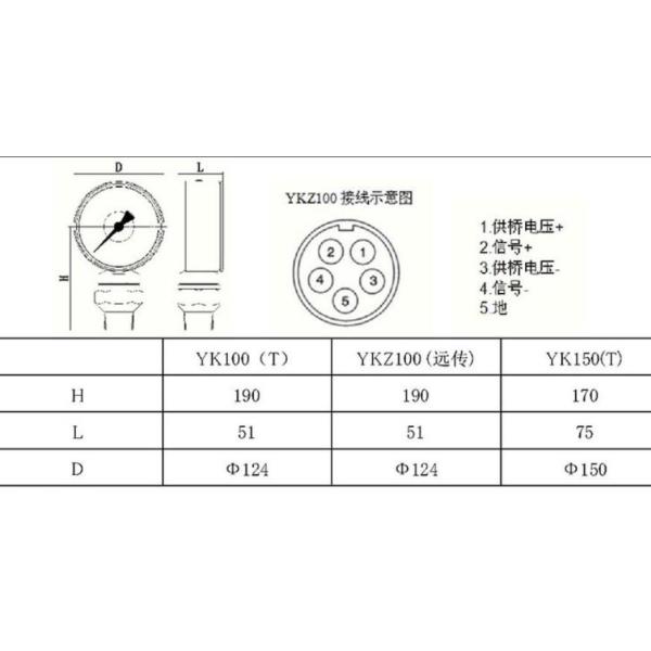 Hot sale Seismic Pressure Gauge 40MPA Drilling Instruments 60 / 120MPa Mud Pump Gauge