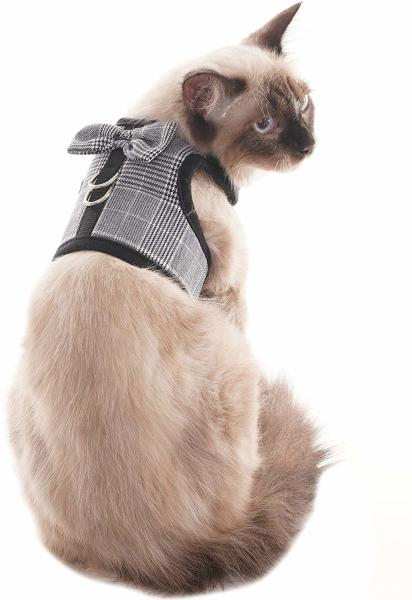 O nó elegante de Cat Harness Collar Cute Bow decora Cat Harness