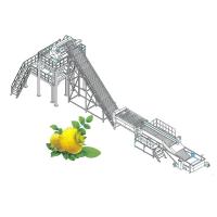 Linha de 72 Brix Concentrate Prickly Fruit Processing para o vegetal de fruto