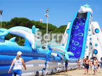 Diapositivas inflables enormes del delfín del tamaño adulto inflable gigante animal azul del tobogán acuático