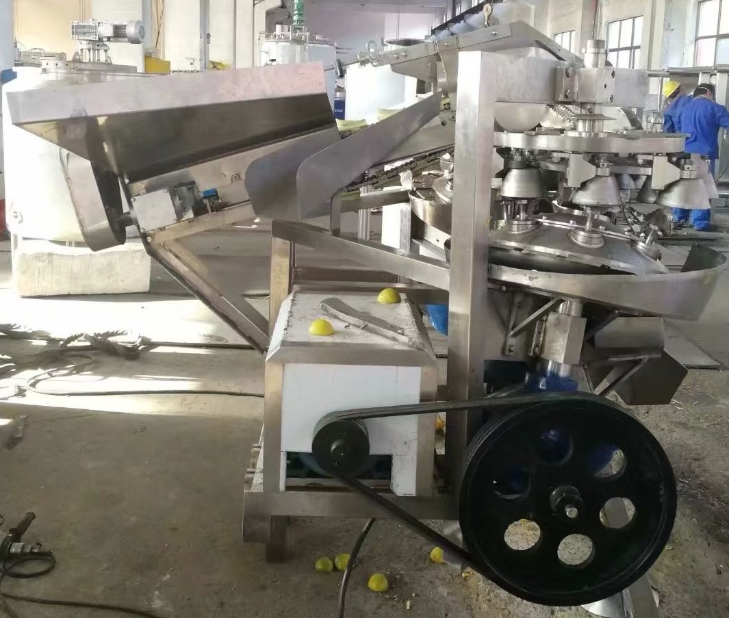 Тип машина ролика Juicer обрабатывающего оборудования плода автоматическая промышленная оранжевая