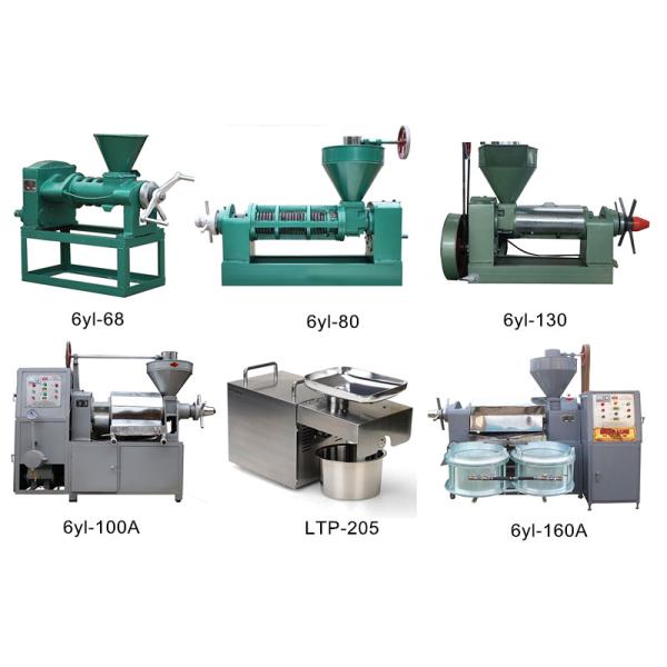 Max Capacity 300 kg/h 6yl Pomegranate Seed Oil Extraction Machine Jatropha Oil Press Machine with Oil Vacuum Filter 98%-100%