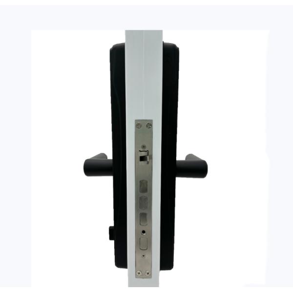 Tuya TTLock App Intelligent Doorlock ELA E-30 Inteligentes Con Wifi Electric Digital Fingerprint Keyless Entry Smart Doo