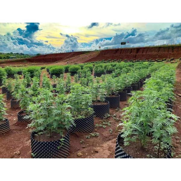 Многофункциональные баки воздуха пластмассы диаметра 44L 40cm белизна черноты 10 галлонов