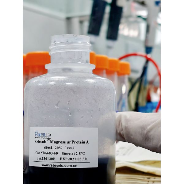 Superparamagnetic Protein L Magnetic Beads 5ml/50ml/100ml Specification