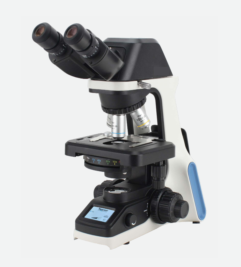 Wholesale Biological Microscope Front LCD for Magnification Intensity Monitoring School Lab MSS-M-OF411