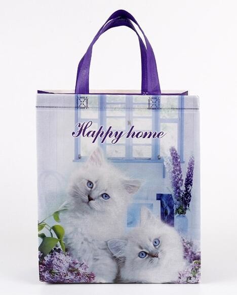 Custom Promotional shopping tote fabric polypropylene laminated pp non woven bag, Wholesale high promotion laminated rec